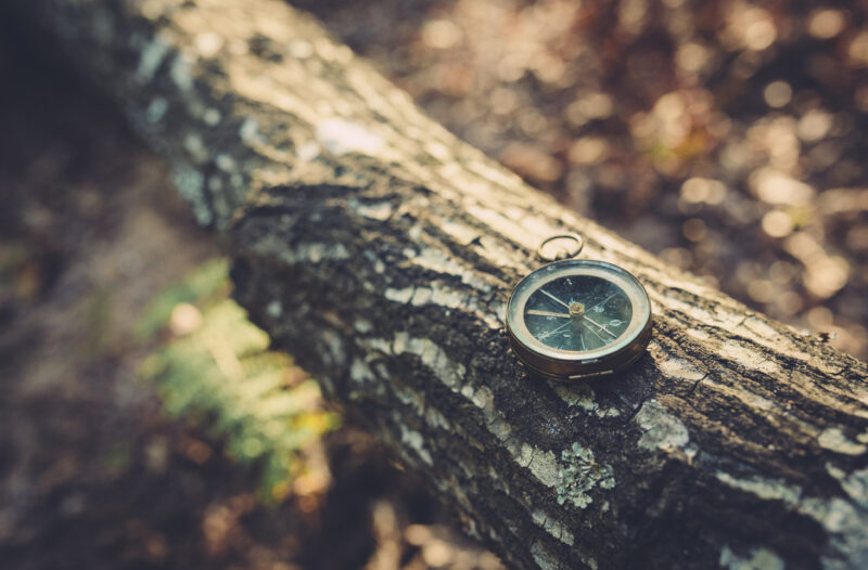 kompassi puunrungolla