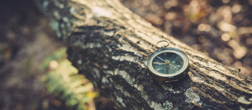 kompassi puunrungolla