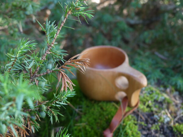 Kuksa vihreässä metsäympäristössä.