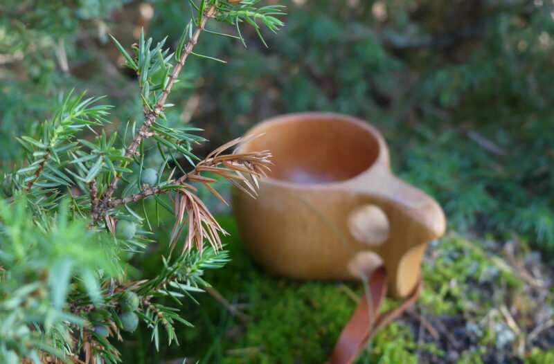 Kuksa mättäällä