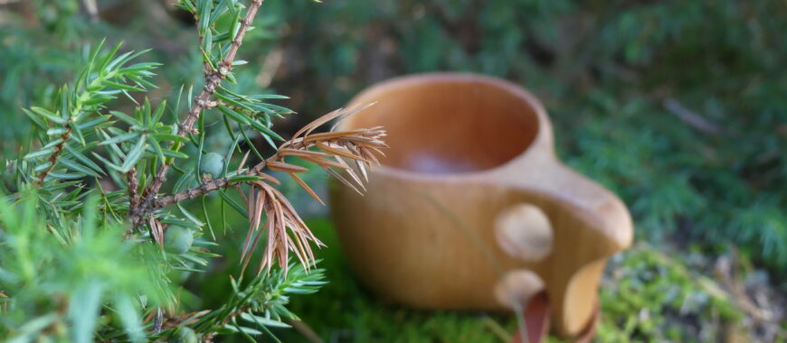 Kuksa mättäällä