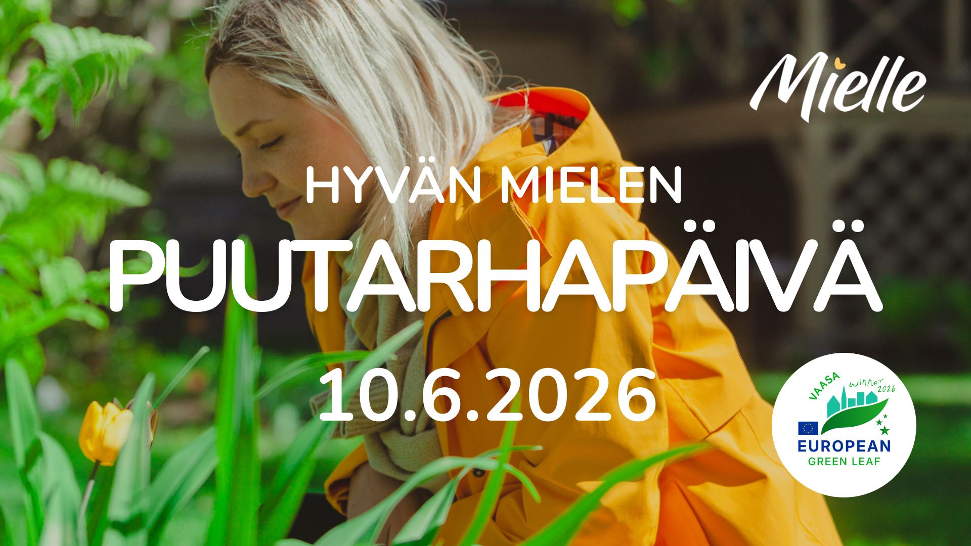 Nainen istuttaa kukkia